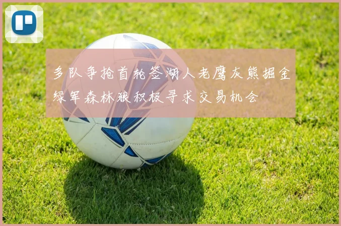 多队争抢首轮签湖人老鹰灰熊掘金绿军森林狼积极寻求交易机会