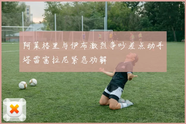 阿莱格里与伊布激烈争吵差点动手塔雷富拉尼紧急劝解